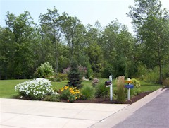 Landscape Installation Example 5